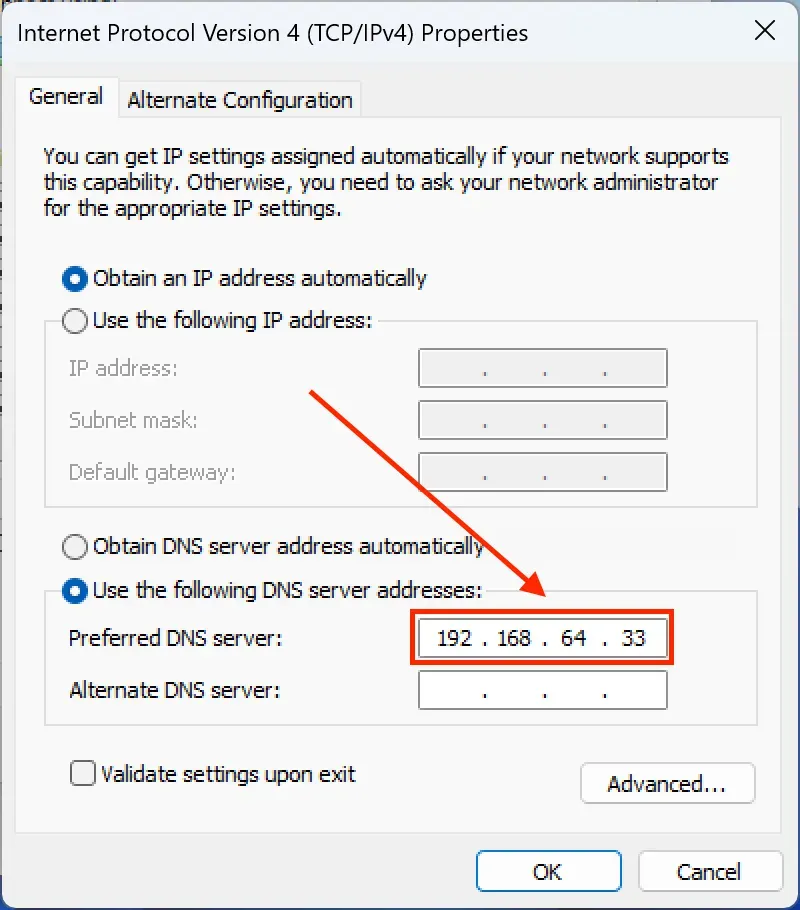 preferred DNS server