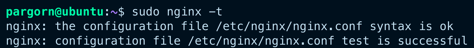 nginx test
