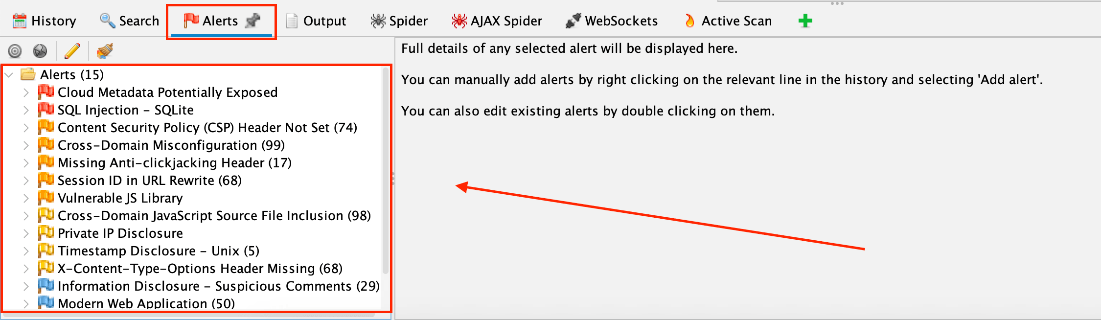 ZAP Alerts